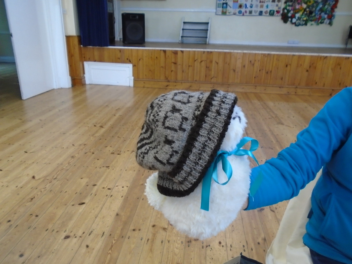 Chris Morris knitted this hat using natural coloured yarn she spun herself from Shetland sheep